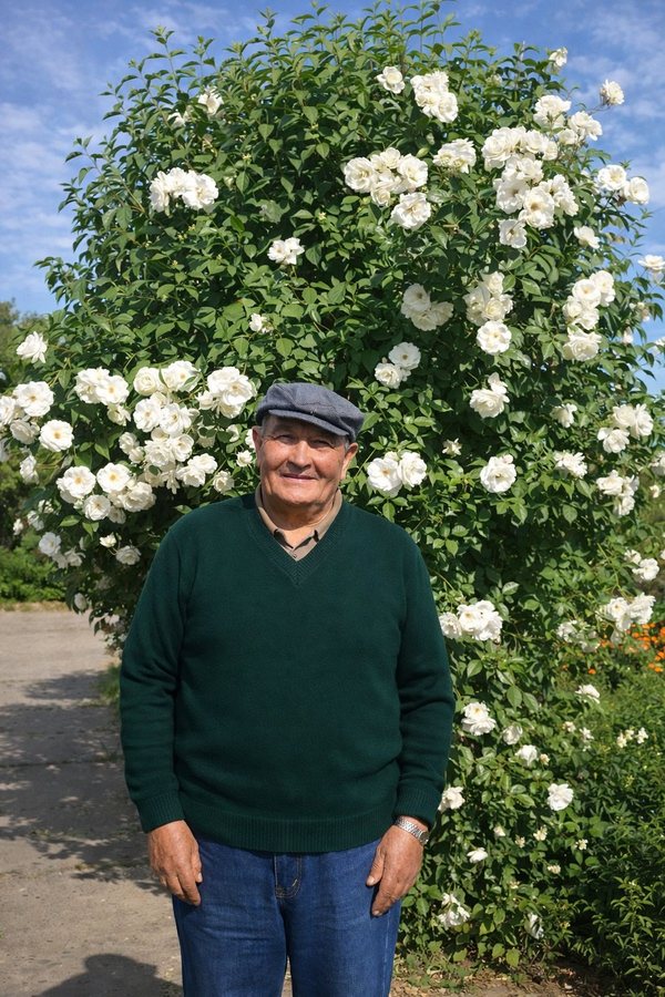 Hombre mayor de pie frente a un rosal en flor